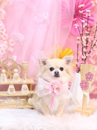 20250308とわくん